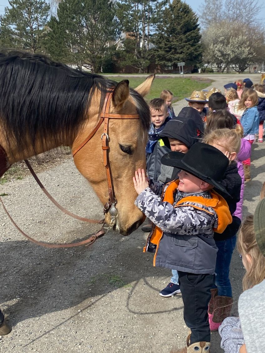 Boy meeting a horse.